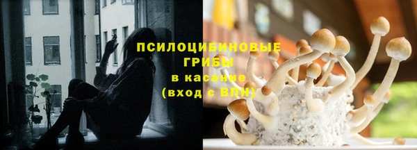 прущие крисы Зеленокумск