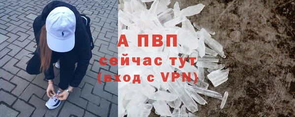 прущие крисы Зеленокумск