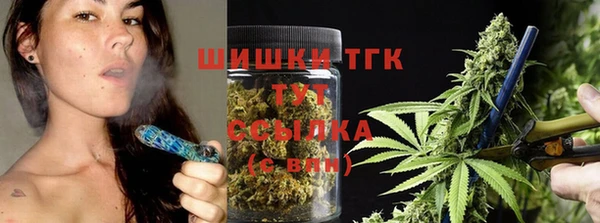 стафф Заводоуковск
